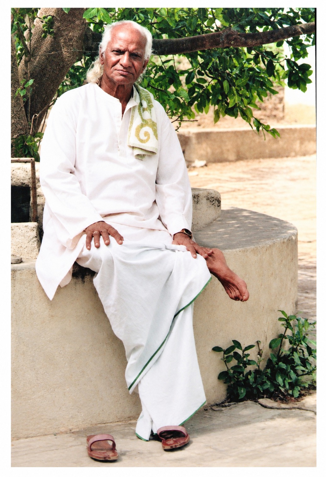 Shri Swami Vikasananda Nath